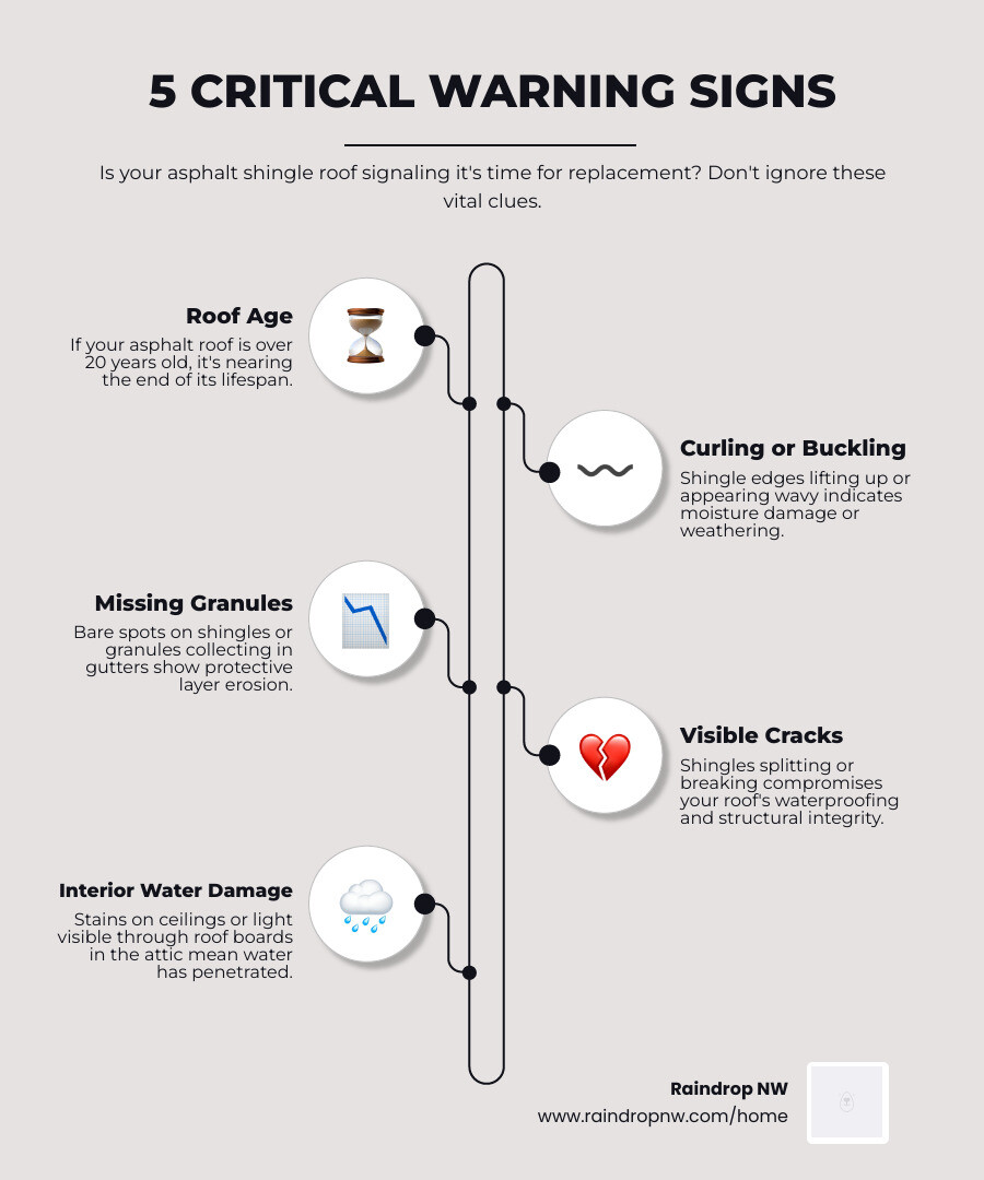 Infographic showing the 5 critical warning signs that indicate your asphalt shingle roof needs replacement: 1) Roof age over 20-30 years, 2) Curled, buckled, or missing shingles, 3) Granule loss visible in gutters or bare spots on shingles, 4) Visible cracks or broken shingles, 5) Interior water stains or light penetration through attic roof boards - asphalt shingle roofing replacement in first addition or infographic infographic-line-5-steps-elegant_beige