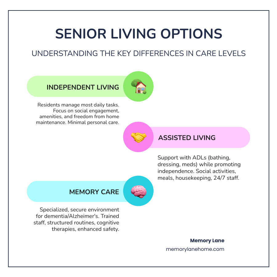 Infographic comparing independent living, assisted living, and memory care options showing level of support, typical resident needs, security features, staff training, and daily assistance provided - assisted living Ypsilanti infographic infographic-line-3-steps-colors