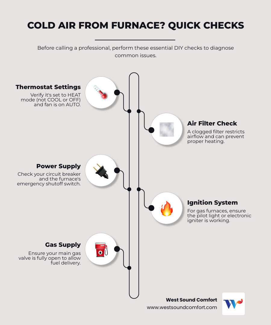 Infographic showing the diagnostic flowchart for a furnace blowing cold air: Start with thermostat check, move to filter inspection, check power supply, inspect pilot light or igniter for gas furnaces, verify heating elements for electric furnaces, and finally check for ductwork or condensate line issues - furnace blowing cold air in burley, wa infographic infographic-line-5-steps-elegant_beige Infographic showing the diagnostic flowchart for a furnace blowing cold air: Start with thermostat check, move to filter inspection, check power supply, inspect pilot light or igniter for gas furnaces, verify heating elements for electric furnaces, and finally check for ductwork or condensate line issues - furnace blowing cold air in burley, wa infographic infographic-line-5-steps-elegant_beige