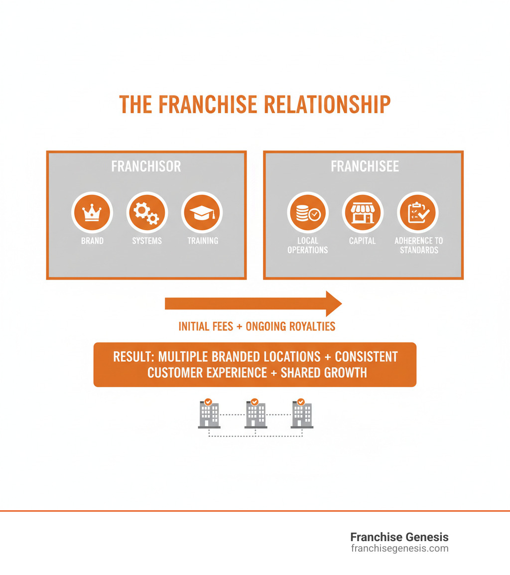 Infographic showing the franchisor-franchisee relationship: Franchisor provides Brand + Systems + Training + Support; Franchisee provides Capital + Local Operations + Adherence to Standards; Money flows as Initial Fees and Ongoing Royalties from Franchisee to Franchisor; Result is Multiple branded locations with consistent customer experience and shared growth - what is a franchise infographic Infographic showing the franchisor-franchisee relationship: Franchisor provides Brand + Systems + Training + Support; Franchisee provides Capital + Local Operations + Adherence to Standards; Money flows as Initial Fees and Ongoing Royalties from Franchisee to Franchisor; Result is Multiple branded locations with consistent customer experience and shared growth - what is a franchise infographic