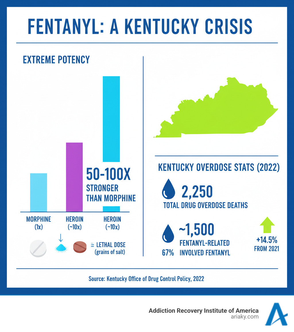 Infographic comparing the potency of fentanyl to morphine and heroin, showing fentanyl is 50-100 times stronger than morphine, with visual representation of lethal doses and overdose statistics in Kentucky - Fentanyl rehab Kentucky infographic 