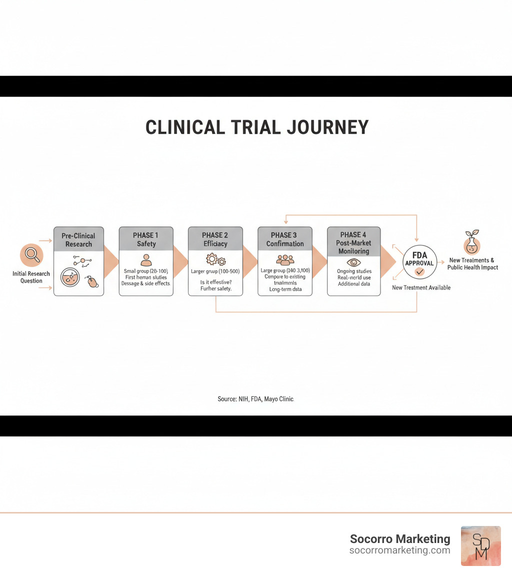 infographic showing the clinical trial journey from initial research question through Phase 1-4 trials to FDA approval and new treatments - clinical research videos infographic 