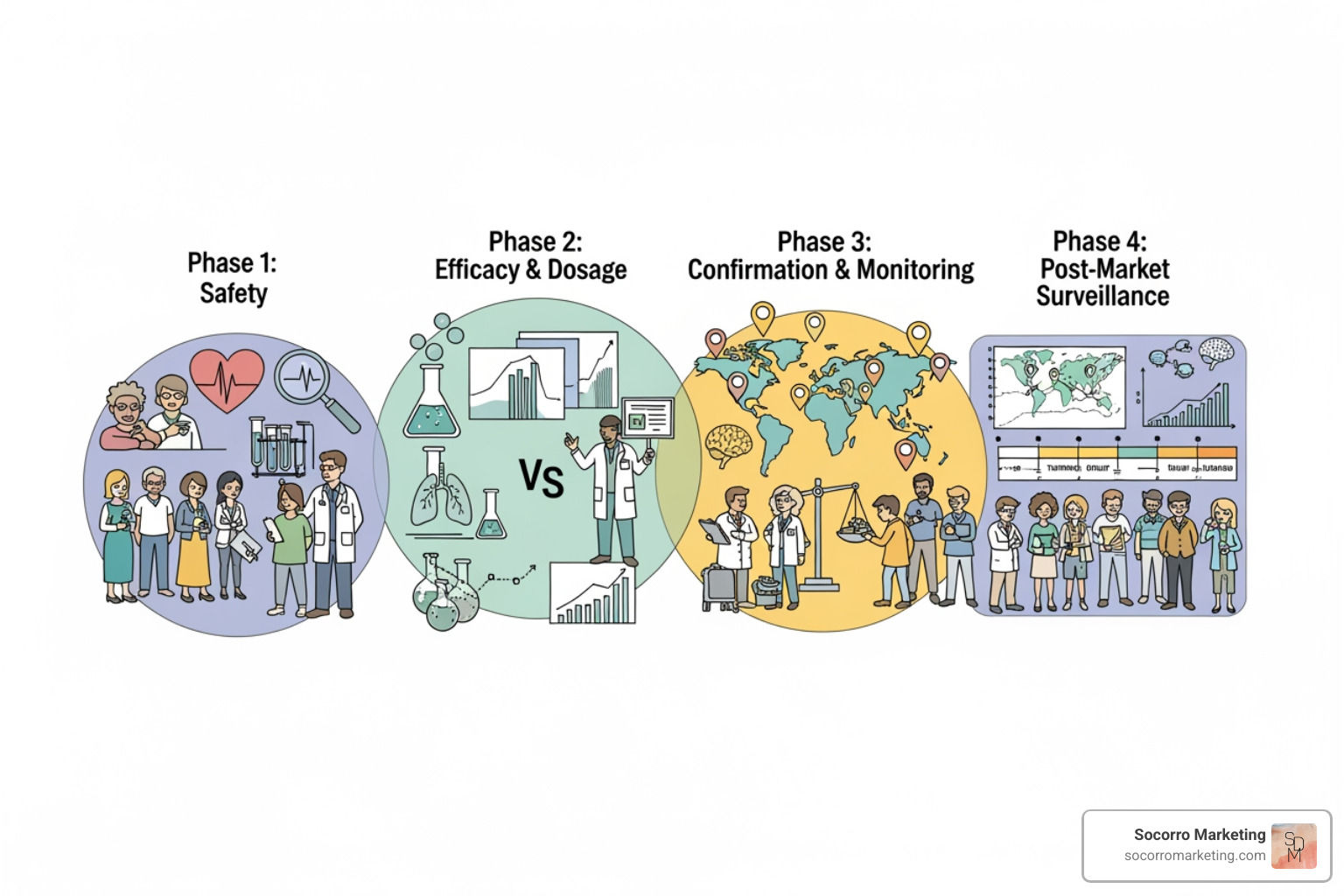 diagram showing the four phases of a clinical trial - clinical research videos