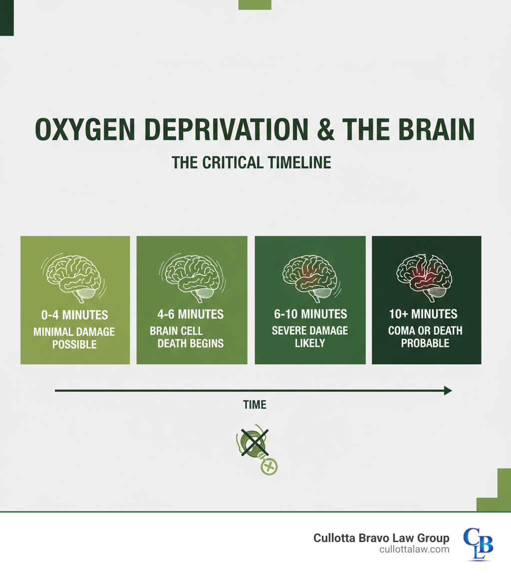 Infographic showing when oxygen is cut off from the brain: 0-4 minutes minimal damage possible, 4-6 minutes brain cell death begins, 6-10 minutes severe damage likely, 10+ minutes coma or death probable, with timeline bars and brain illustrations - anoxic brain injury lawyer infographic 