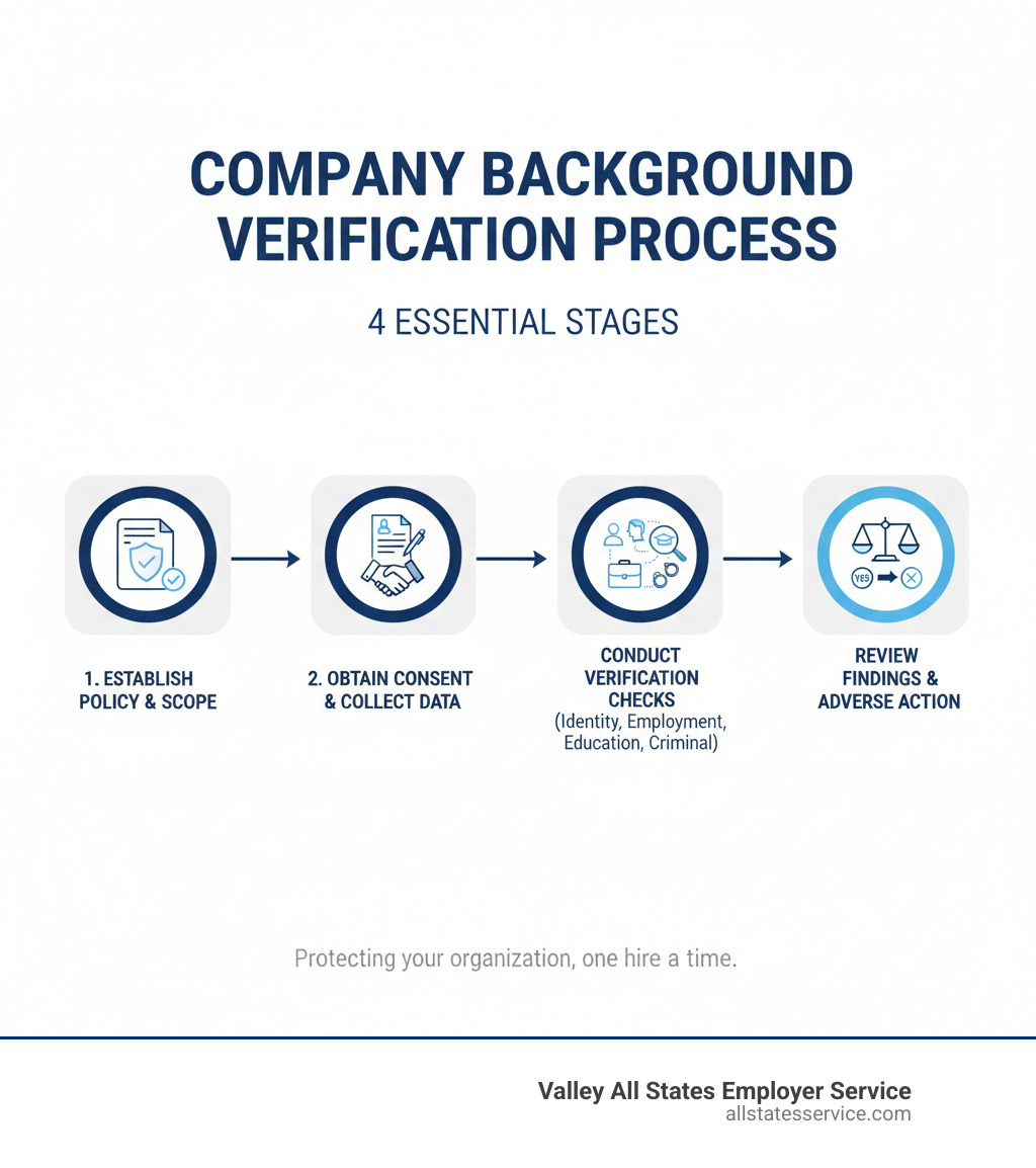 Infographic showing the four key stages of the company background verification process: 1) Establish Policy and Define Scope, 2) Obtain Consent and Collect Applicant Data, 3) Conduct Verification Checks (identity, employment, education, criminal records), 4) Review Findings and Follow Adverse Action Procedures if needed - company background verification process infographic 