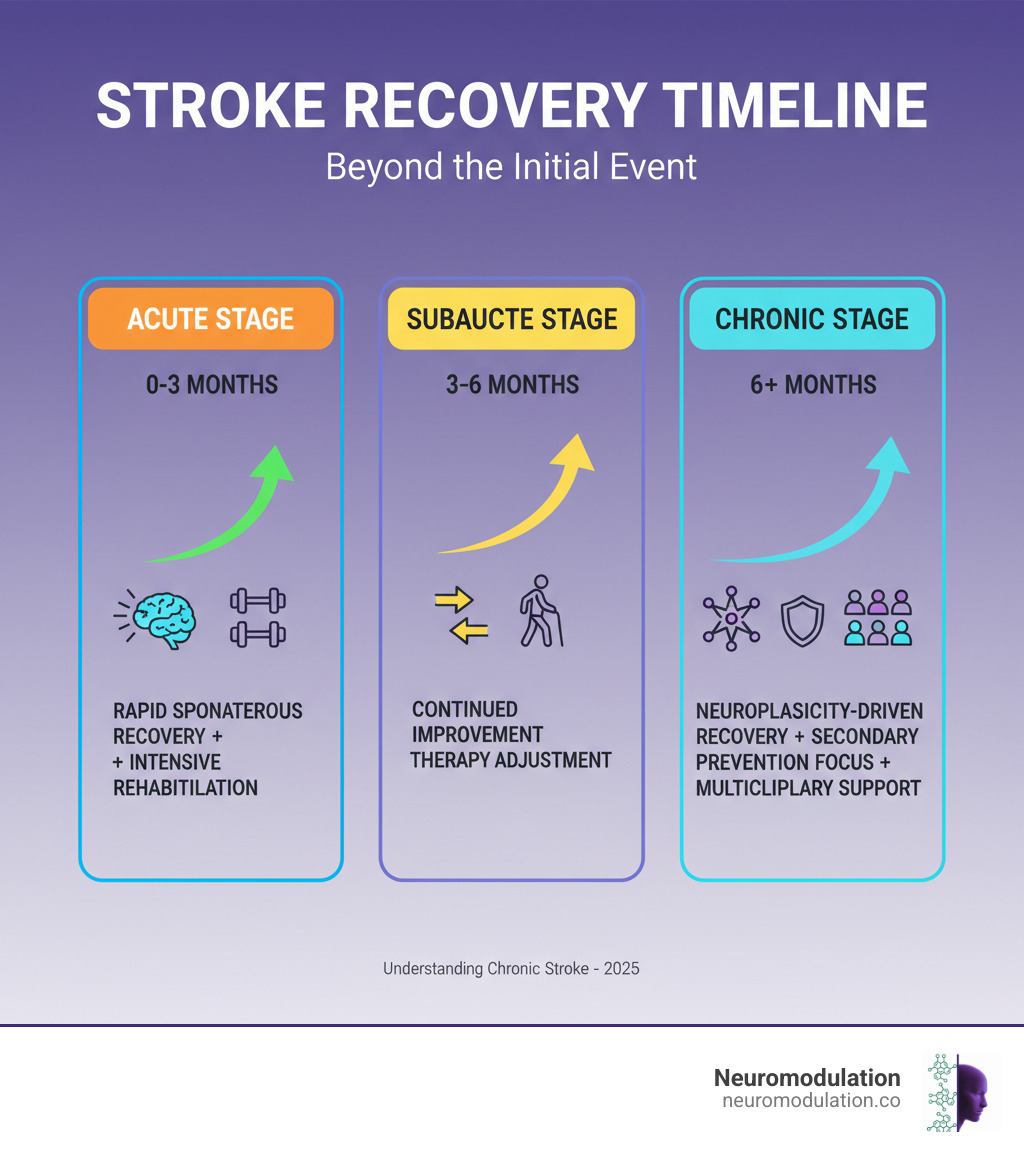 Infographic showing the stroke recovery timeline from acute stage (0-3 months with rapid spontaneous recovery and intensive rehabilitation), subacute stage (3-6 months with continued improvement and therapy adjustment), to chronic stage (6+ months with ongoing neuroplasticity-driven recovery, secondary prevention focus, and multidisciplinary support needs) - chronic stroke infographic 