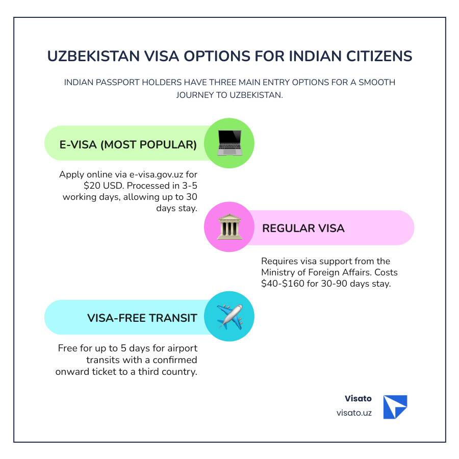 Infographic showing three pathways: E-Visa (laptop icon, $20, 3-5 days, online application), Regular Visa (embassy building icon, $40-160, varies, requires visa support), and Visa-Free Transit (airplane icon, free, 5 days maximum, onward ticket required) - tashkent visa for indian infographic infographic-line-3-steps-colors