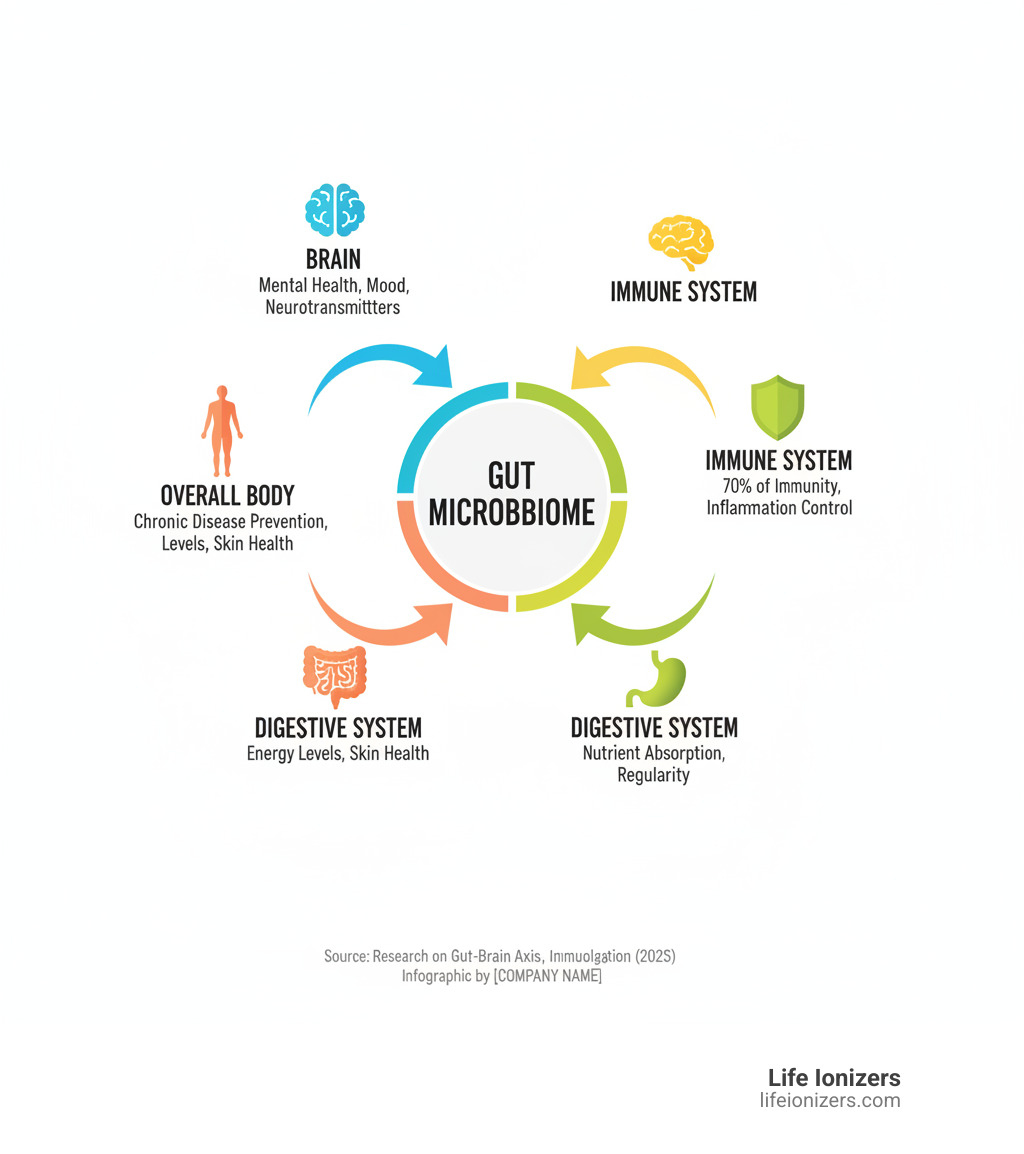 Infographic showing the gut microbiome at the center with arrows connecting to the brain (mental health, mood, neurotransmitters), immune system (70% of immunity, inflammation control), digestive system (nutrient absorption, regularity), and overall body (chronic disease prevention, energy levels, skin health) - Improve gut health infographic 