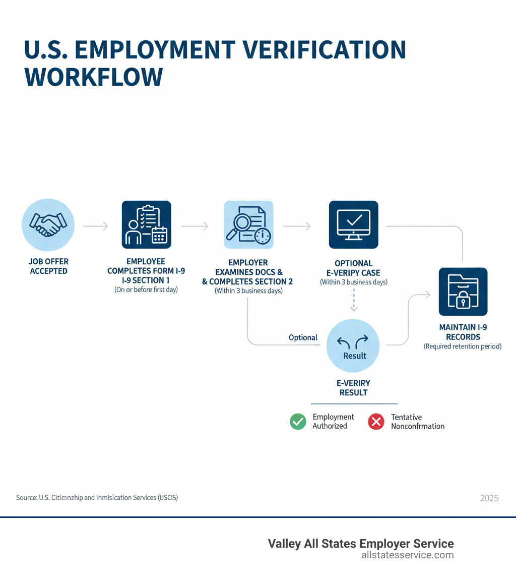 infographic showing the employment verification workflow: job offer accepted, employee completes Form I-9 Section 1 on or before first day, employer examines documents and completes Section 2 within 3 days, optional E-Verify case created within 3 days, result shows Employment Authorized or Tentative Nonconfirmation, employer maintains I-9 records for required retention period - Employment eligibility checks infographic infographic showing the employment verification workflow: job offer accepted, employee completes Form I-9 Section 1 on or before first day, employer examines documents and completes Section 2 within 3 days, optional E-Verify case created within 3 days, result shows Employment Authorized or Tentative Nonconfirmation, employer maintains I-9 records for required retention period - Employment eligibility checks infographic