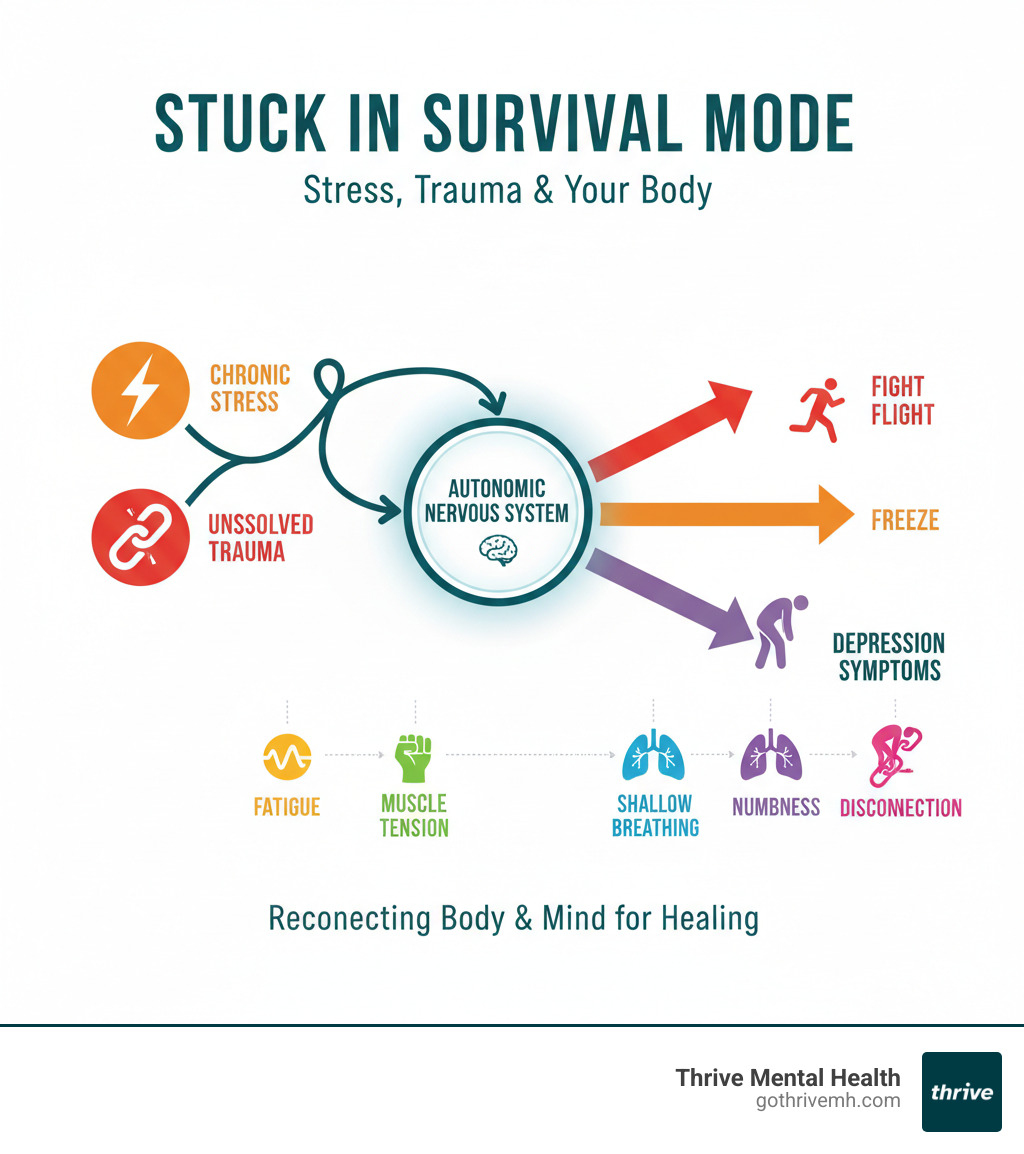 Infographic showing how chronic stress and unresolved trauma activate the autonomic nervous system, leading to fight-flight-freeze responses that manifest as depression symptoms like fatigue, muscle tension, shallow breathing, numbness, and disconnection from the body - somatic therapy for depression infographic Infographic showing how chronic stress and unresolved trauma activate the autonomic nervous system, leading to fight-flight-freeze responses that manifest as depression symptoms like fatigue, muscle tension, shallow breathing, numbness, and disconnection from the body - somatic therapy for depression infographic