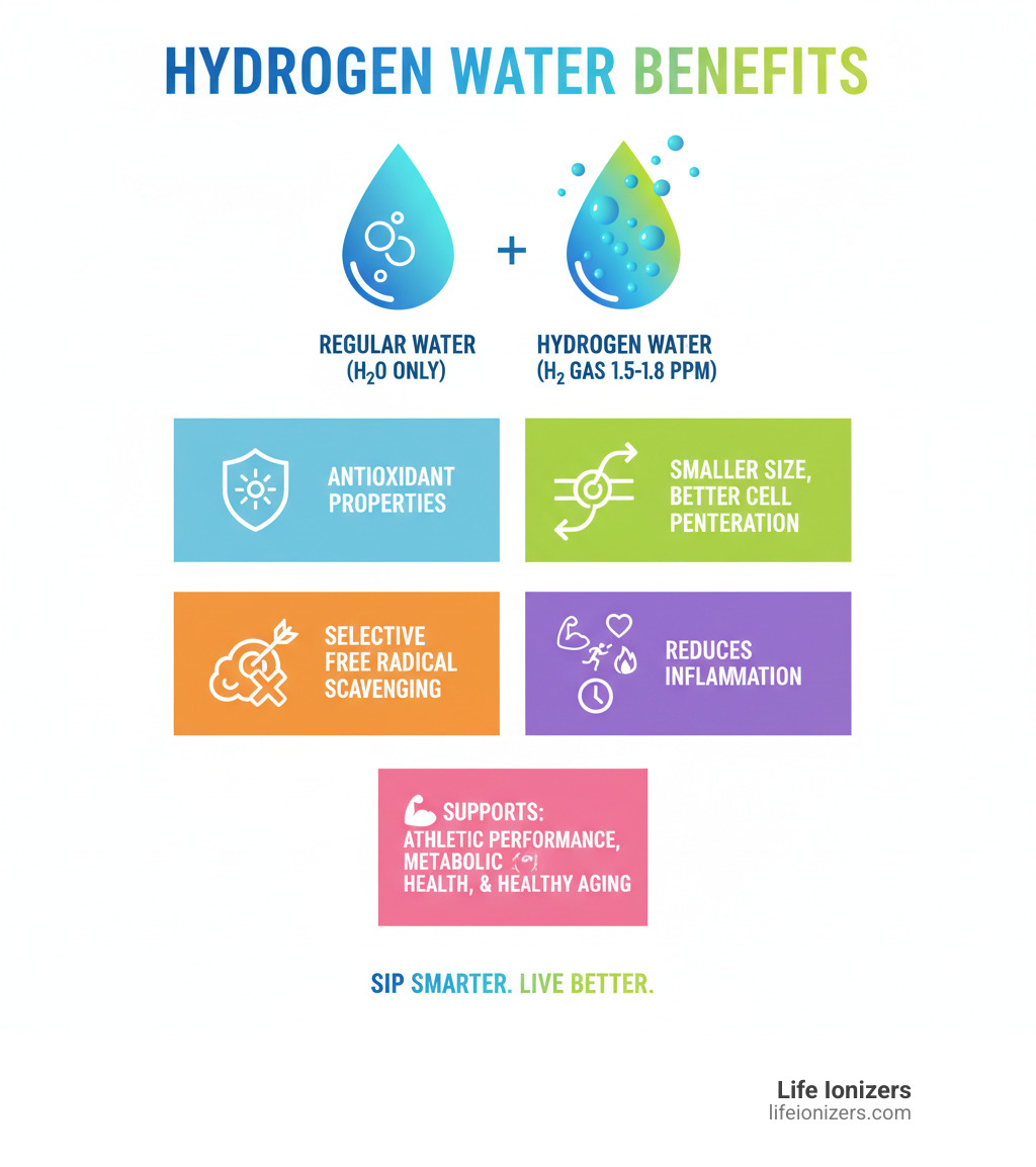 Infographic showing hydrogen water benefits: contains dissolved H2 gas molecules (1.5-1.8 ppm), vs regular water (H2O molecules only), key differences include antioxidant properties, smaller molecular size for better cell penetration, selective free radical scavenging, and potential health benefits for inflammation, athletic performance, metabolic health, and aging - what are the benefits to drinking hydrogen water infographic Infographic showing hydrogen water benefits: contains dissolved H2 gas molecules (1.5-1.8 ppm), vs regular water (H2O molecules only), key differences include antioxidant properties, smaller molecular size for better cell penetration, selective free radical scavenging, and potential health benefits for inflammation, athletic performance, metabolic health, and aging - what are the benefits to drinking hydrogen water infographic