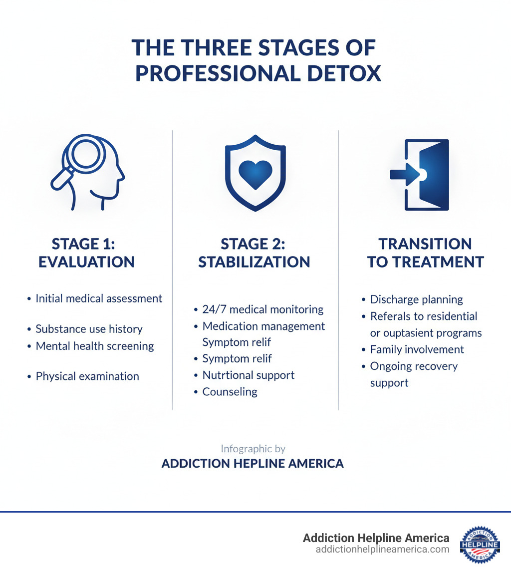 Infographic showing the three stages of professional detox: Stage 1 - Evaluation (Initial medical assessment, substance use history, mental health screening, physical examination); Stage 2 - Stabilization (24/7 medical monitoring, medication management, symptom relief, nutritional support, counseling); Stage 3 - Transition to Treatment (Discharge planning, referrals to residential or outpatient programs, family involvement, ongoing recovery support) - center for detox infographic  Infographic showing the three stages of professional detox: Stage 1 - Evaluation (Initial medical assessment, substance use history, mental health screening, physical examination); Stage 2 - Stabilization (24/7 medical monitoring, medication management, symptom relief, nutritional support, counseling); Stage 3 - Transition to Treatment (Discharge planning, referrals to residential or outpatient programs, family involvement, ongoing recovery support) - center for detox infographic