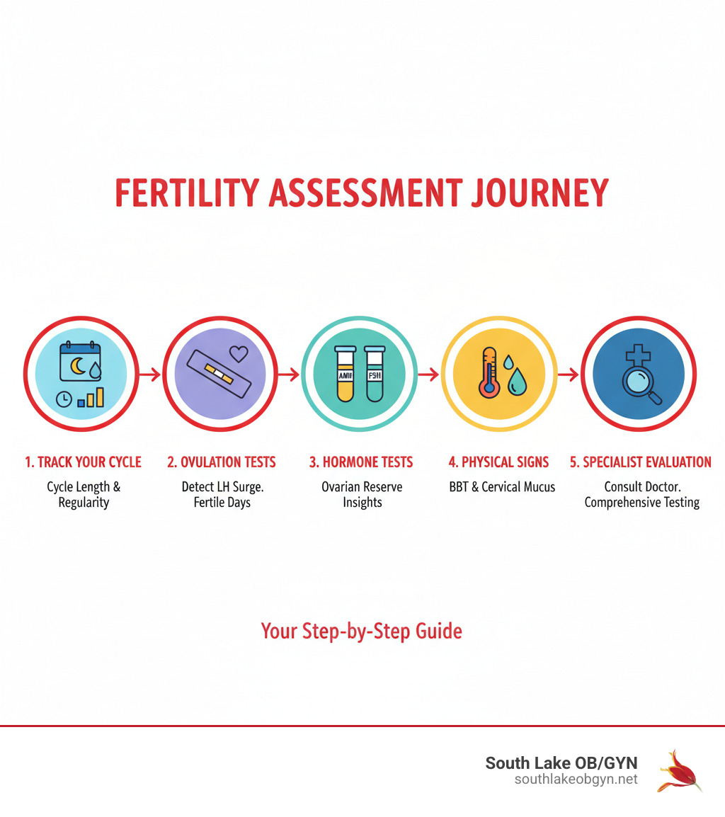 fertility assessment journey - how to check fertility infographic 