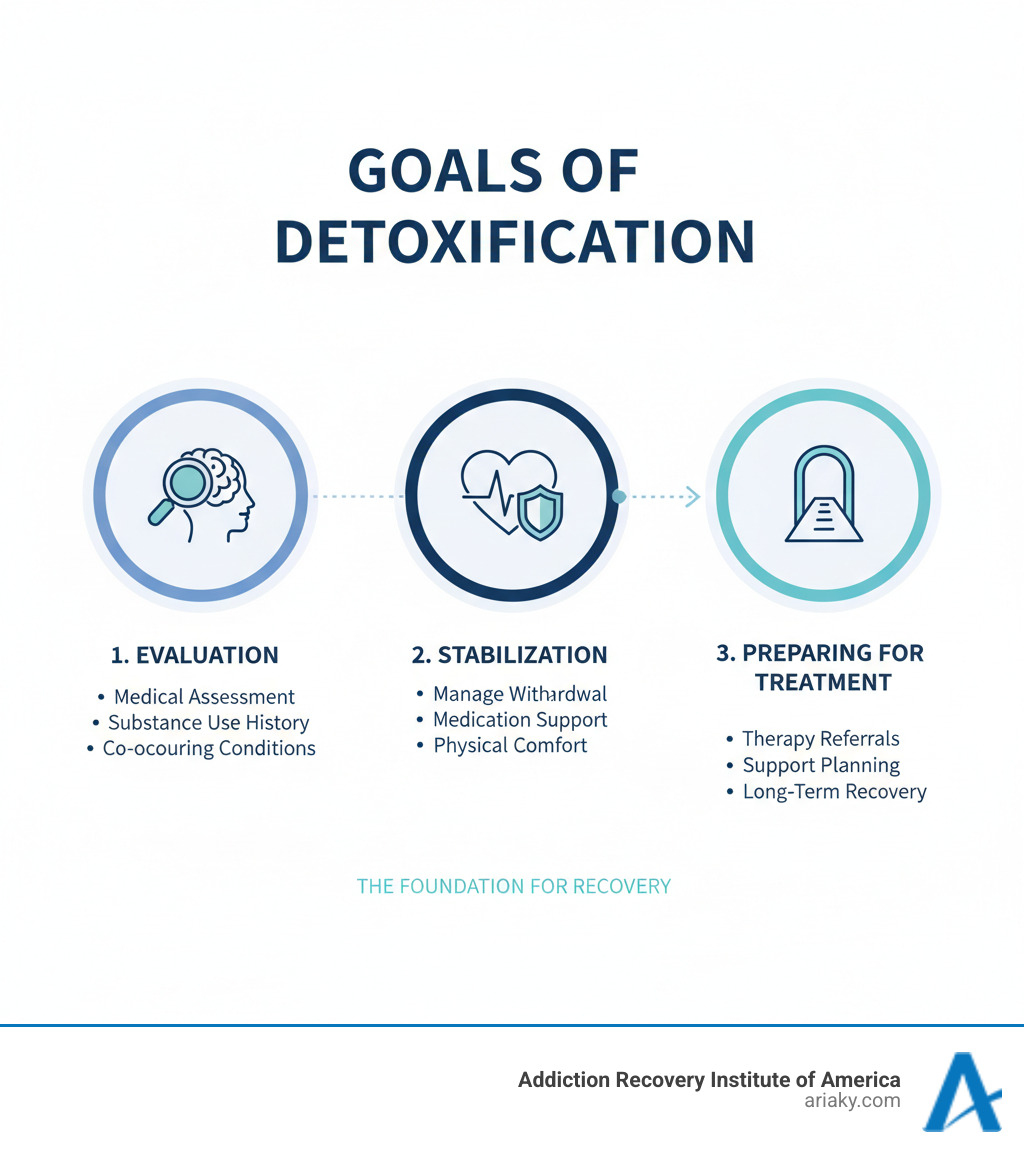 Infographic explaining the goals of detoxification: evaluation, stabilization, and preparing for treatment. - Alcohol drug detox infographic Infographic explaining the goals of detoxification: evaluation, stabilization, and preparing for treatment. - Alcohol drug detox infographic