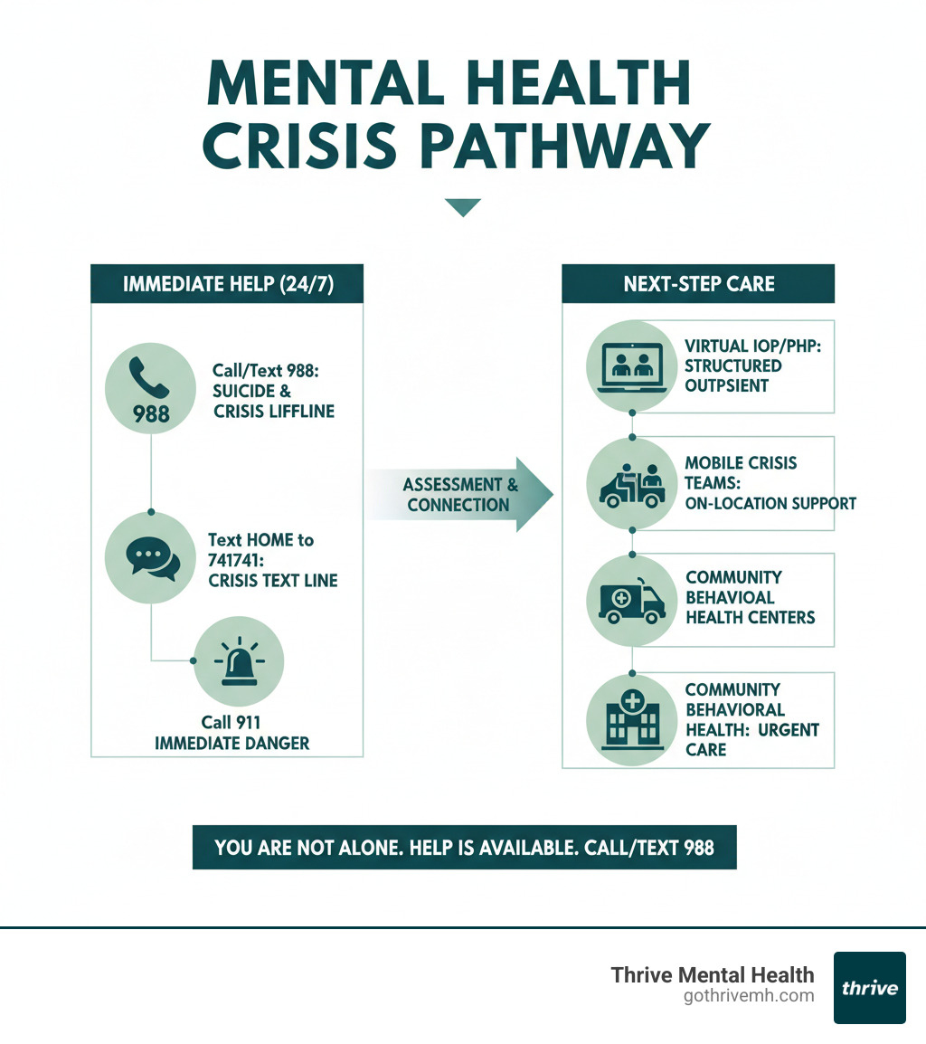 Mental health crisis services pathway from hotlines to structured care - mental health crisis services infographic 