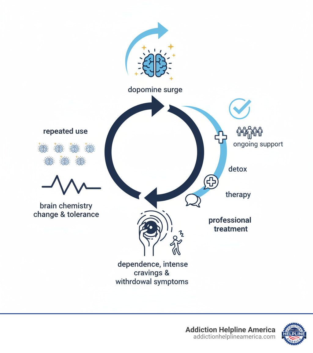 Infographic showing the cycle of cocaine addiction: initial use leading to dopamine surge and euphoria, repeated use causing brain chemistry changes and tolerance, development of dependence with intense cravings and withdrawal symptoms, and the path to recovery through professional treatment including detox, therapy, and ongoing support - cocaine addiction rehab infographic 