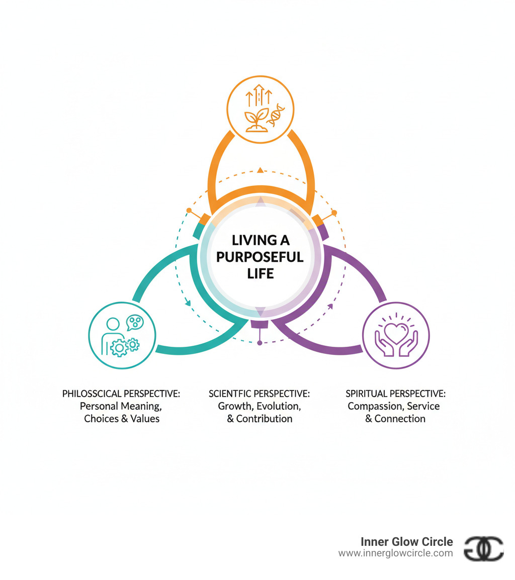 infographic showing three pathways to purpose: philosophical perspective showing personal meaning through choices and values, scientific perspective showing growth and contribution through evolution, and spiritual perspective showing compassion and service to others, all connecting to a central concept of living a purposeful life - purpose of life infographic 
