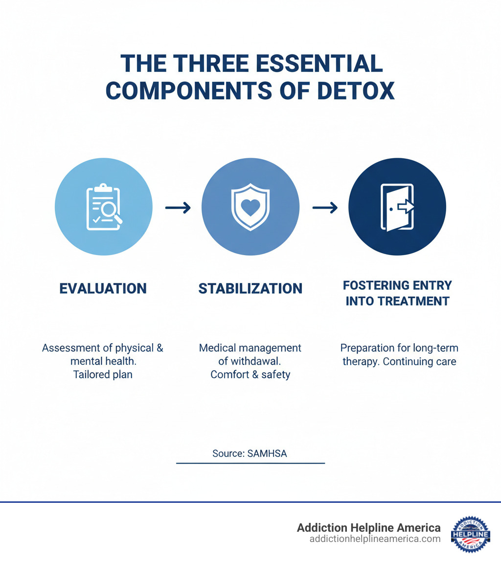 Infographic detailing the three essential components of detox: Evaluation, Stabilization, and Fostering Entry into Treatment. - detox programs infographic Infographic detailing the three essential components of detox: Evaluation, Stabilization, and Fostering Entry into Treatment. - detox programs infographic