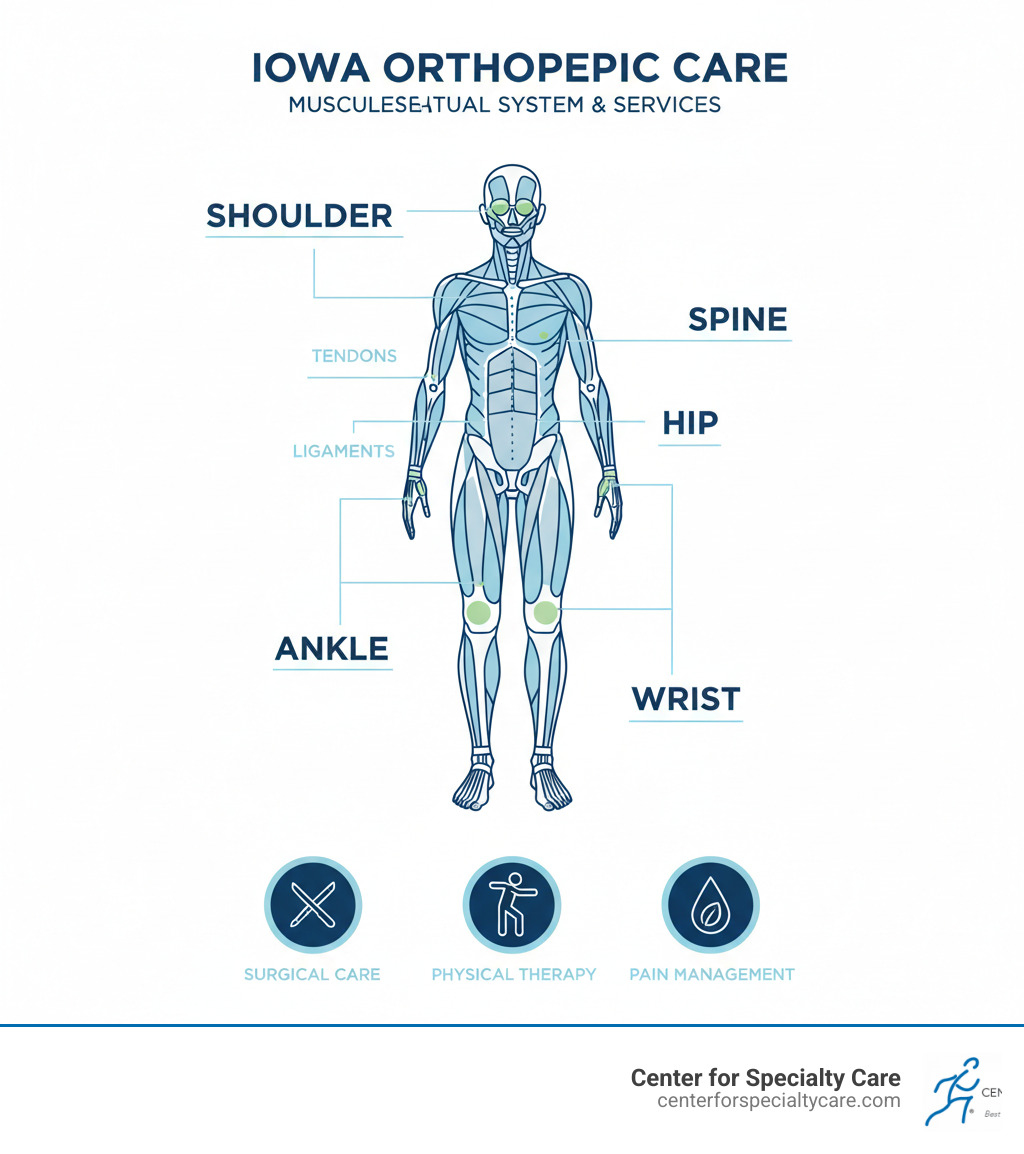 Infographic showing the musculoskeletal system including bones, joints, muscles, tendons, and ligaments, with labels for common injury sites like knee, hip, shoulder, spine, ankle, and wrist, plus icons representing surgical care, physical therapy, and pain management services available at Iowa orthopedic clinics - Orthopedic clinic Iowa infographic Infographic showing the musculoskeletal system including bones, joints, muscles, tendons, and ligaments, with labels for common injury sites like knee, hip, shoulder, spine, ankle, and wrist, plus icons representing surgical care, physical therapy, and pain management services available at Iowa orthopedic clinics - Orthopedic clinic Iowa infographic