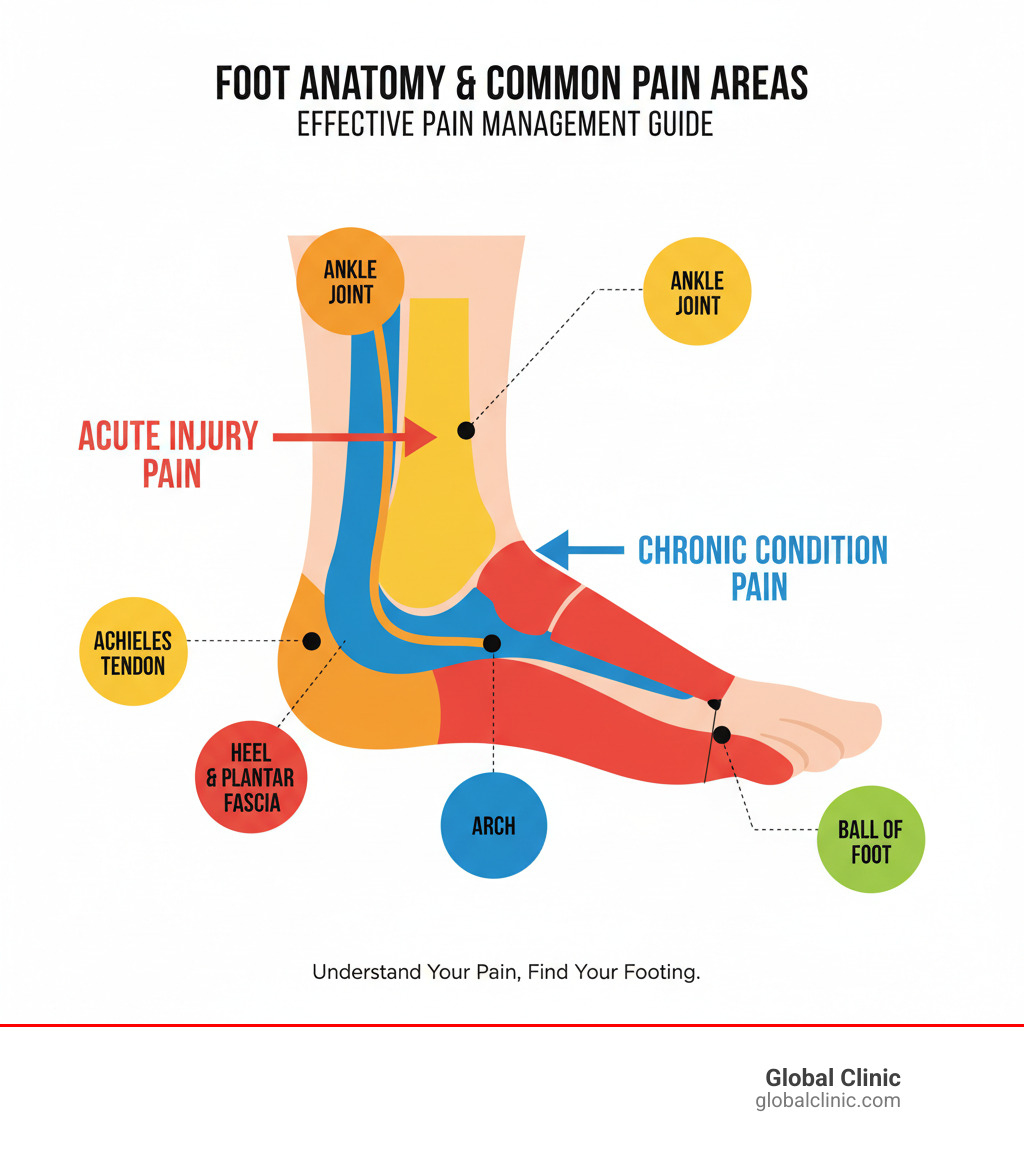 infographic showing foot anatomy with labeled sections for common pain areas including the ankle joint, Achilles tendon, heel with plantar fascia attachment point, arch, and ball of foot, plus indicators for where acute injury pain versus chronic condition pain typically occurs - Effective pain management infographic infographic showing foot anatomy with labeled sections for common pain areas including the ankle joint, Achilles tendon, heel with plantar fascia attachment point, arch, and ball of foot, plus indicators for where acute injury pain versus chronic condition pain typically occurs - Effective pain management infographic