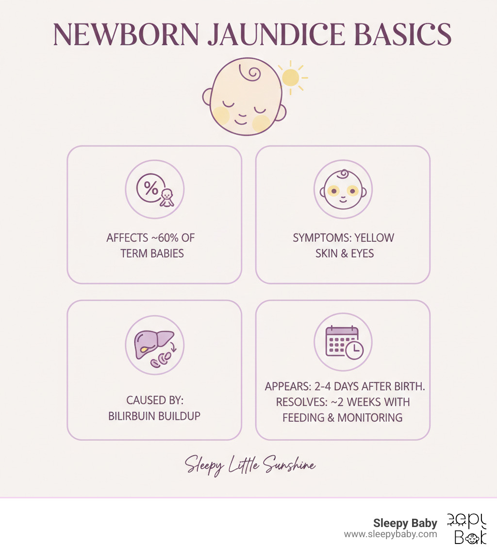infographic showing the basics of newborn jaundice, including that it affects 60% of term babies, appears as yellow skin and eyes, is caused by bilirubin buildup, usually appears 2-4 days after birth, and most cases resolve within 2 weeks with proper feeding and monitoring - does jaundice make babies sleepy infographic 