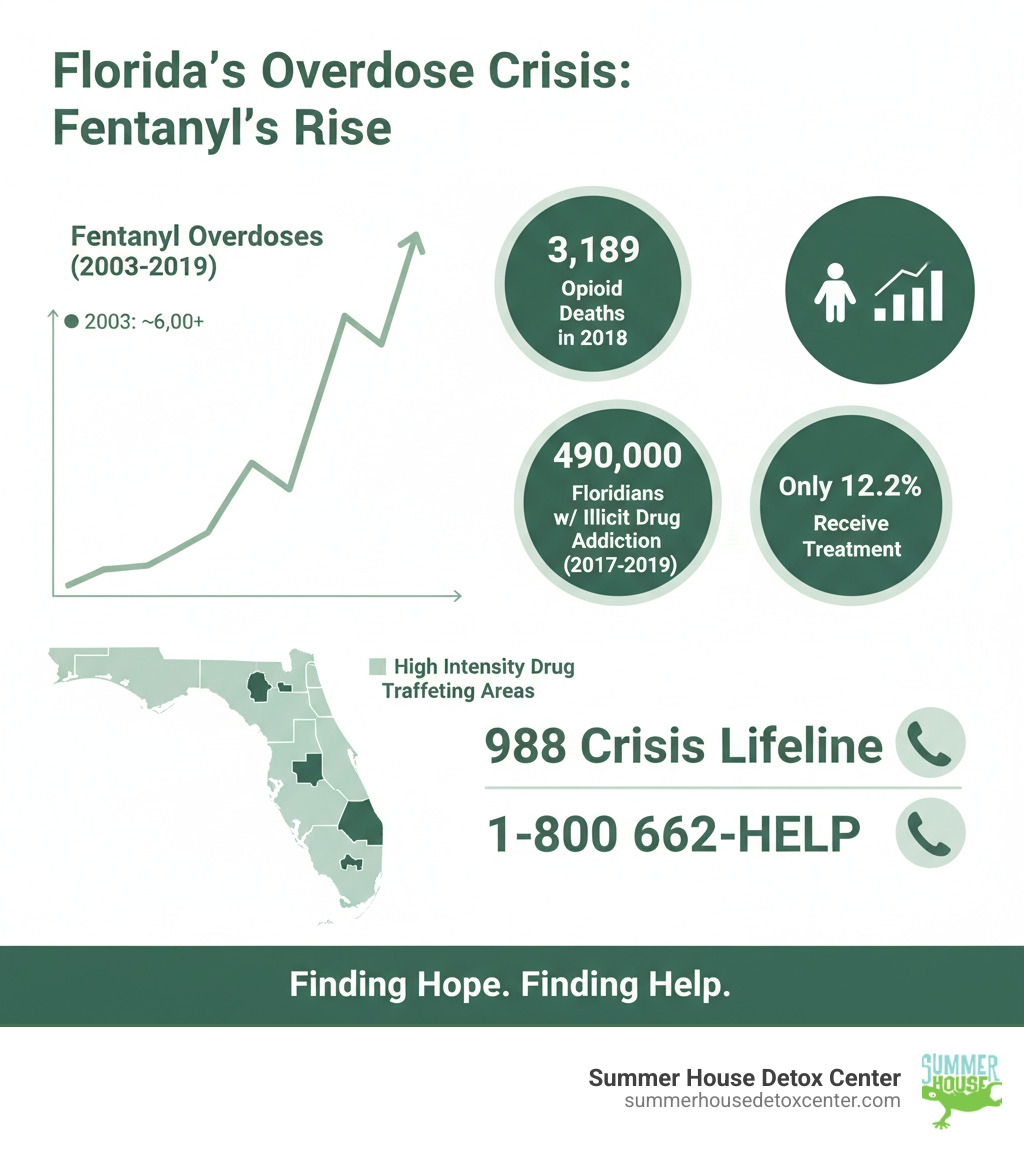 Infographic showing the exponential rise of fentanyl overdoses in Florida from 2003 to 2019, with key statistics: 3,189 opioid-involved deaths in 2018, 490,000 Florida residents struggling with addiction to illicit drugs between 2017-2019, and only 12.2% of people with substance use disorder receiving treatment. The graphic includes a map of Florida highlighting High Intensity Drug Trafficking Areas and emergency contact numbers including 988 Crisis Lifeline and 1-800-662-HELP - Florida addiction help infographic 