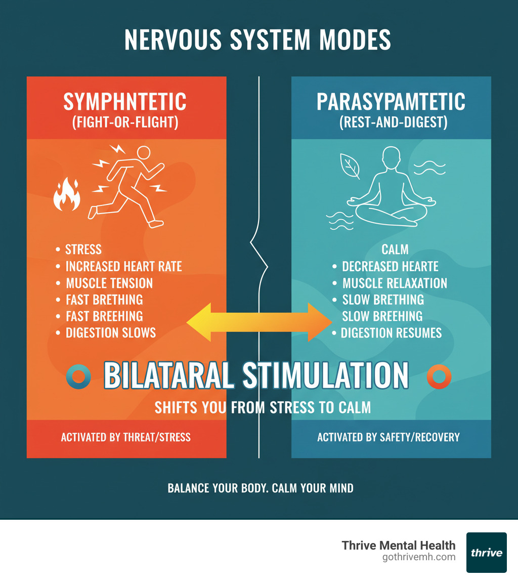 Infographic explaining the difference between the sympathetic (fight-or-flight) and parasympathetic (rest-and-digest) nervous systems. Bilateral stimulation activates the shift from sympathetic to parasympathetic. - From EMDR to Daily Regulation: Bringing Bilateral Stimulation Into Everyday Life infographic Infographic explaining the difference between the sympathetic (fight-or-flight) and parasympathetic (rest-and-digest) nervous systems. Bilateral stimulation activates the shift from sympathetic to parasympathetic. - From EMDR to Daily Regulation: Bringing Bilateral Stimulation Into Everyday Life infographic