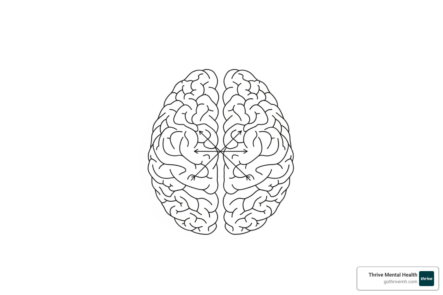 Illustration of a brain with arrows showing left-right communication - How Bilateral Stimulation Calms the Nervous System