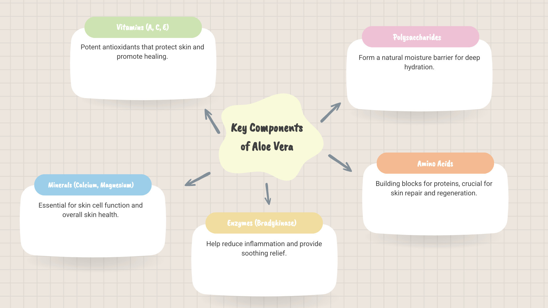 infographic showing the key components of aloe vera including vitamins A, C, and E, minerals like calcium and magnesium, enzymes such as bradykinase, polysaccharides for moisture retention, and amino acids for skin repair - aloe vera cream infographic mindmap-5-items infographic showing the key components of aloe vera including vitamins A, C, and E, minerals like calcium and magnesium, enzymes such as bradykinase, polysaccharides for moisture retention, and amino acids for skin repair - aloe vera cream infographic mindmap-5-items