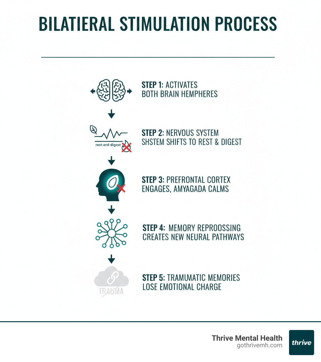Infographic showing bilateral stimulation process: Step 1 - Alternating stimuli activate both brain hemispheres, Step 2 - Nervous system shifts from fight-or-flight to rest-and-digest, Step 3 - Prefrontal cortex engages while amygdala calms, Step 4 - Memory reprocessing creates new neural pathways, Step 5 - Traumatic memories lose emotional charge and intensity - The Science Behind Bilateral Stimulation and Memory Processing infographic 