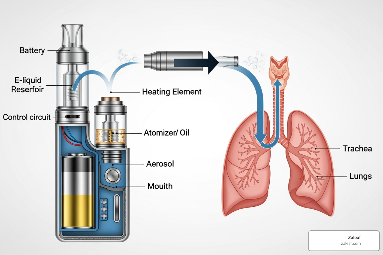 diagram illustrating how a vape pen heats oil into an aerosol that is inhaled into the lungs - are cbd vape pens bad for you