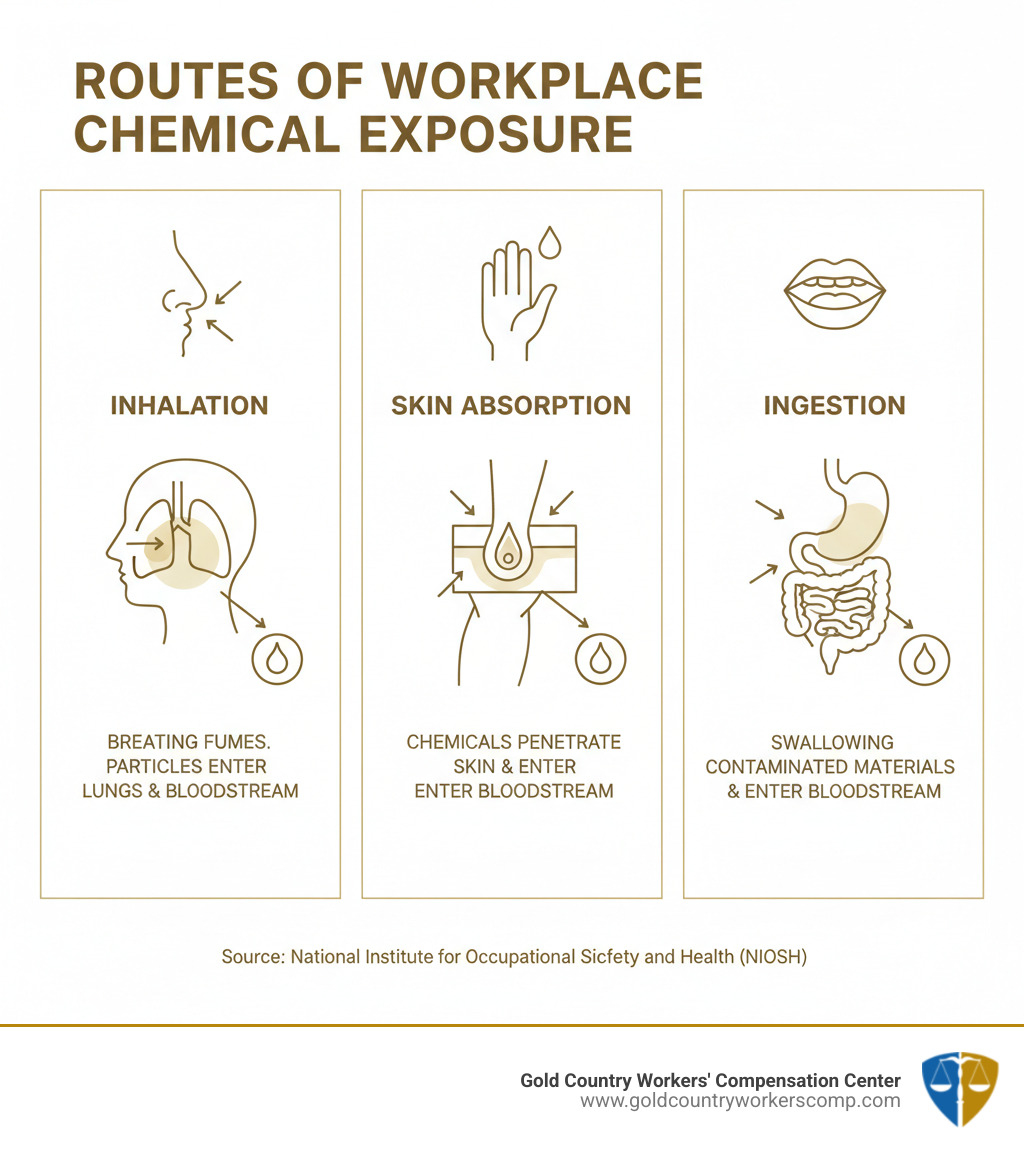 Infographic showing three main routes of chemical exposure in the workplace: inhalation (breathing toxic fumes through nose and mouth with particles entering lungs), skin absorption (chemicals penetrating skin barrier and entering bloodstream), and ingestion (swallowing contaminated materials through mouth). Each route shows simple anatomical diagram with arrows indicating chemical entry points and affected body systems. - chemical exposure workers compensation infographic Infographic showing three main routes of chemical exposure in the workplace: inhalation (breathing toxic fumes through nose and mouth with particles entering lungs), skin absorption (chemicals penetrating skin barrier and entering bloodstream), and ingestion (swallowing contaminated materials through mouth). Each route shows simple anatomical diagram with arrows indicating chemical entry points and affected body systems. - chemical exposure workers compensation infographic