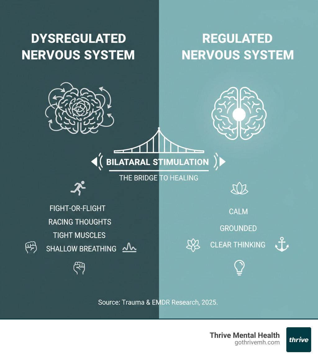 infographic showing the difference between a dysregulated nervous system (stuck in fight-or-flight with racing thoughts, tight muscles, shallow breathing) and a regulated nervous system (calm, grounded, clear thinking) with bilateral stimulation as the bridge between them - bilateral stimulation exercises for trauma infographic 