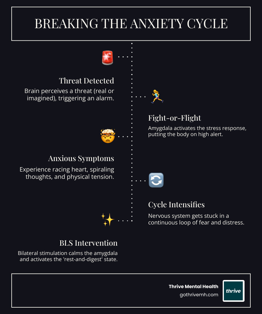 infographic showing the anxiety cycle with arrows indicating fight-or-flight response, overthinking loop, and physical symptoms, with bilateral stimulation shown as an intervention breaking the cycle and leading to calm nervous system and clearer thinking -  bilateral stimulation techniques for anxiety infographic infographic-line-5-steps-dark