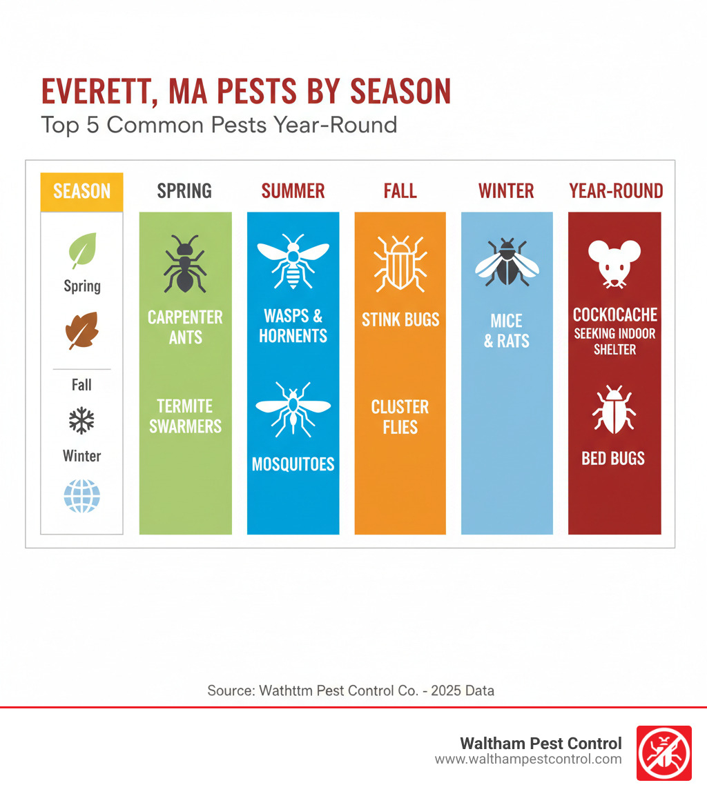 Infographic showing the top 5 most common pests in Everett MA by season: Spring - Carpenter Ants and Termite Swarmers; Summer - Wasps, Hornets, and Mosquitoes; Fall - Stink Bugs and Cluster Flies; Winter - Mice and Rats seeking indoor shelter; Year-Round - Cockroaches and Bed Bugs - exterminator in everett ma infographic 