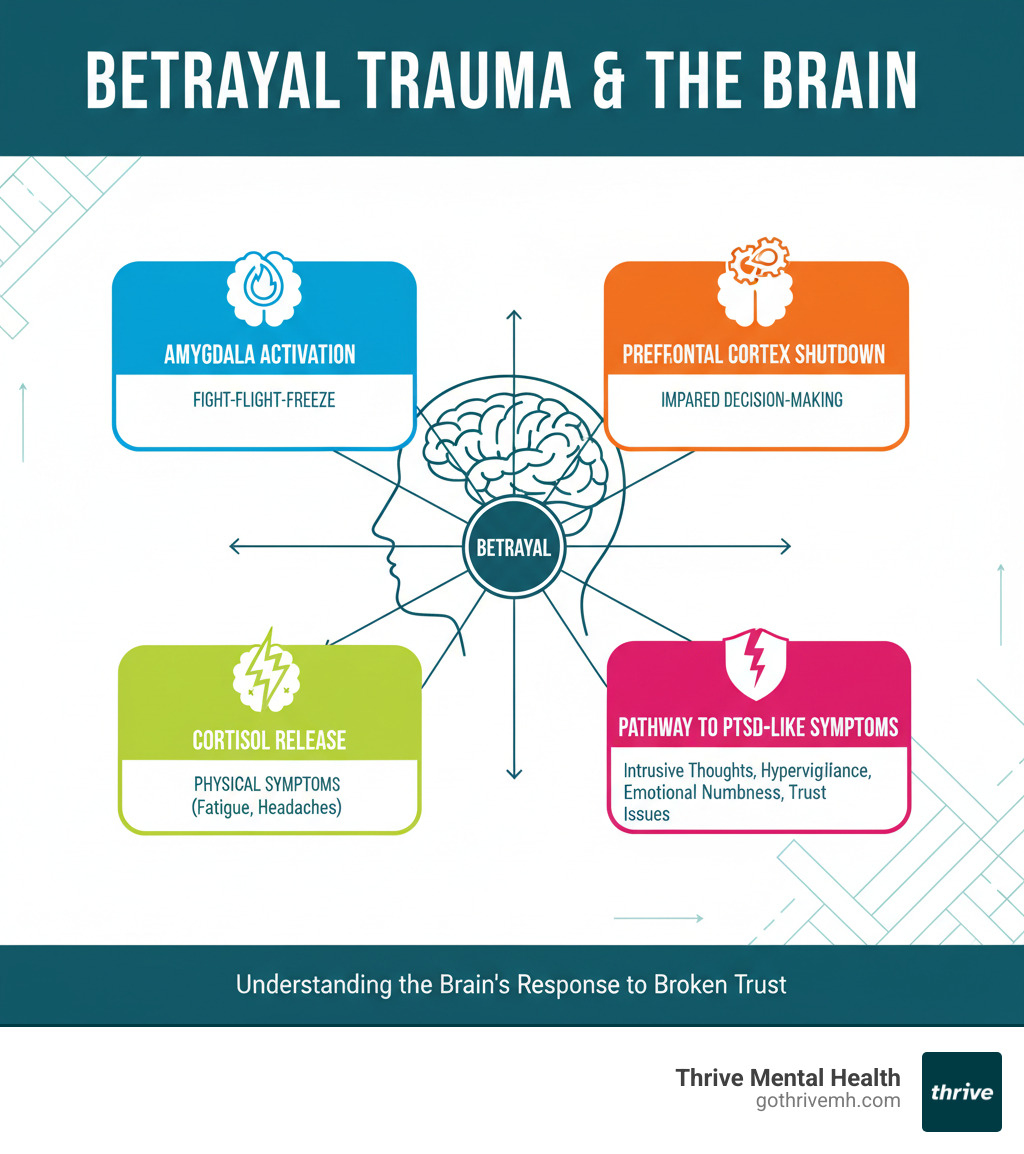 infographic showing the brain's response to betrayal trauma, including the amygdala activation triggering fight-flight-freeze response, prefrontal cortex shutdown affecting decision-making, cortisol release causing physical symptoms, and the pathway from betrayal to PTSD-like symptoms including intrusive thoughts, hypervigilance, emotional numbness, and trust issues - Why Betrayal Trauma Feels Like PTSD (And What You Can Do About It) infographic infographic showing the brain's response to betrayal trauma, including the amygdala activation triggering fight-flight-freeze response, prefrontal cortex shutdown affecting decision-making, cortisol release causing physical symptoms, and the pathway from betrayal to PTSD-like symptoms including intrusive thoughts, hypervigilance, emotional numbness, and trust issues - Why Betrayal Trauma Feels Like PTSD (And What You Can Do About It) infographic