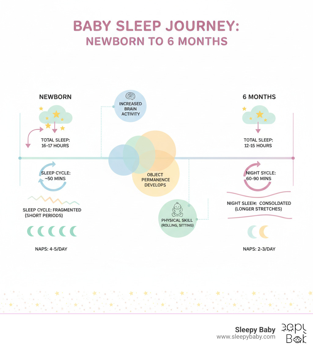 Infographic showing the progression of baby sleep cycles from newborn to 6 months, including changes in total sleep hours (16-17 hours at birth decreasing to 12-15 hours at 6 months), the shift from 50-minute sleep cycles to 60-90 minute cycles, the consolidation of nighttime sleep from fragmented periods to longer stretches, and the reduction from 4-5 naps per day to 2-3 naps, with annotations highlighting developmental milestones like increased brain activity, object permanence development, and physical skill acquisition that impact sleep patterns - 6 month old frequent waking infographic 