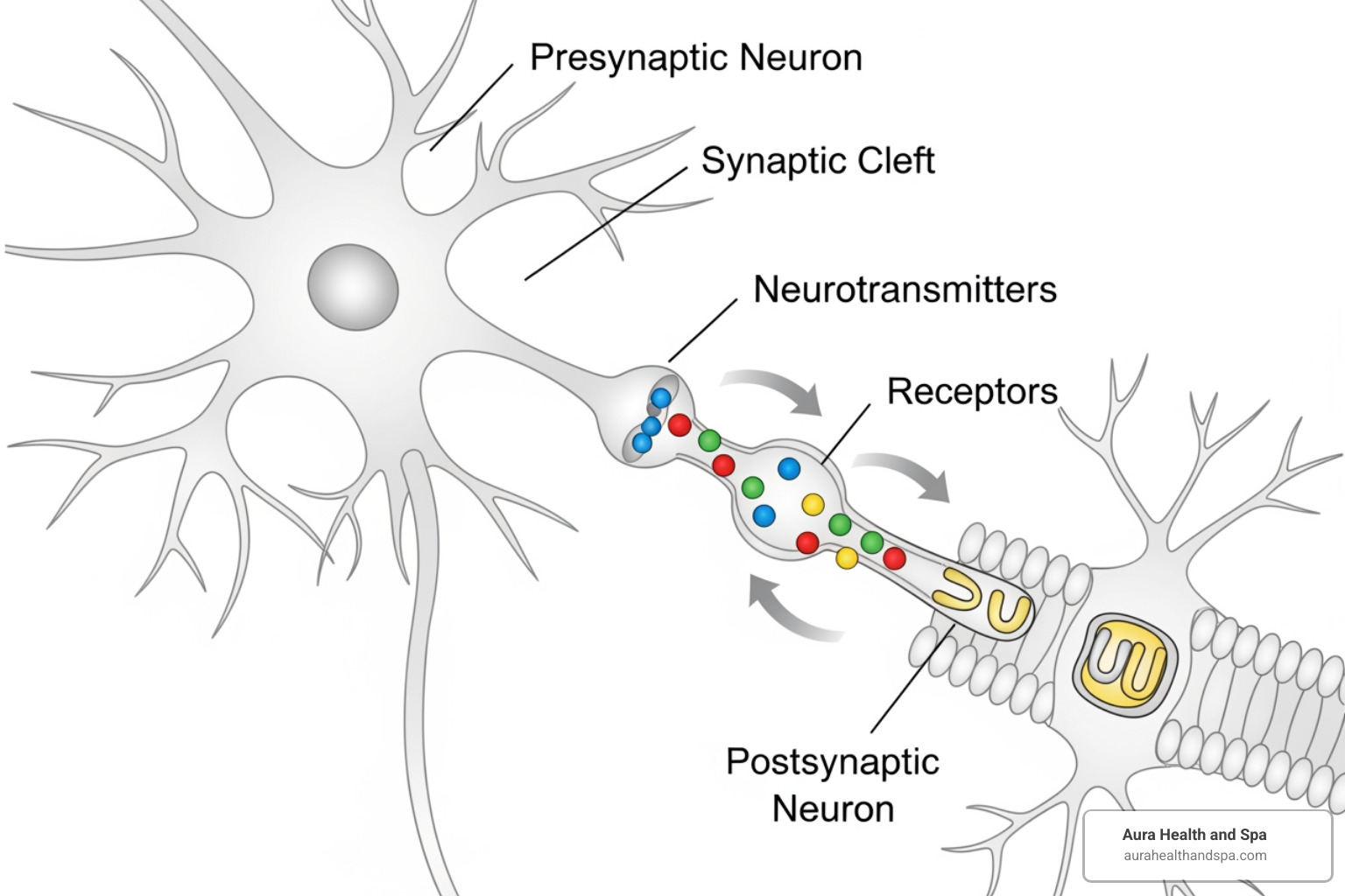 simplified diagram showing a nerve and neurotransmitters - migraine injection