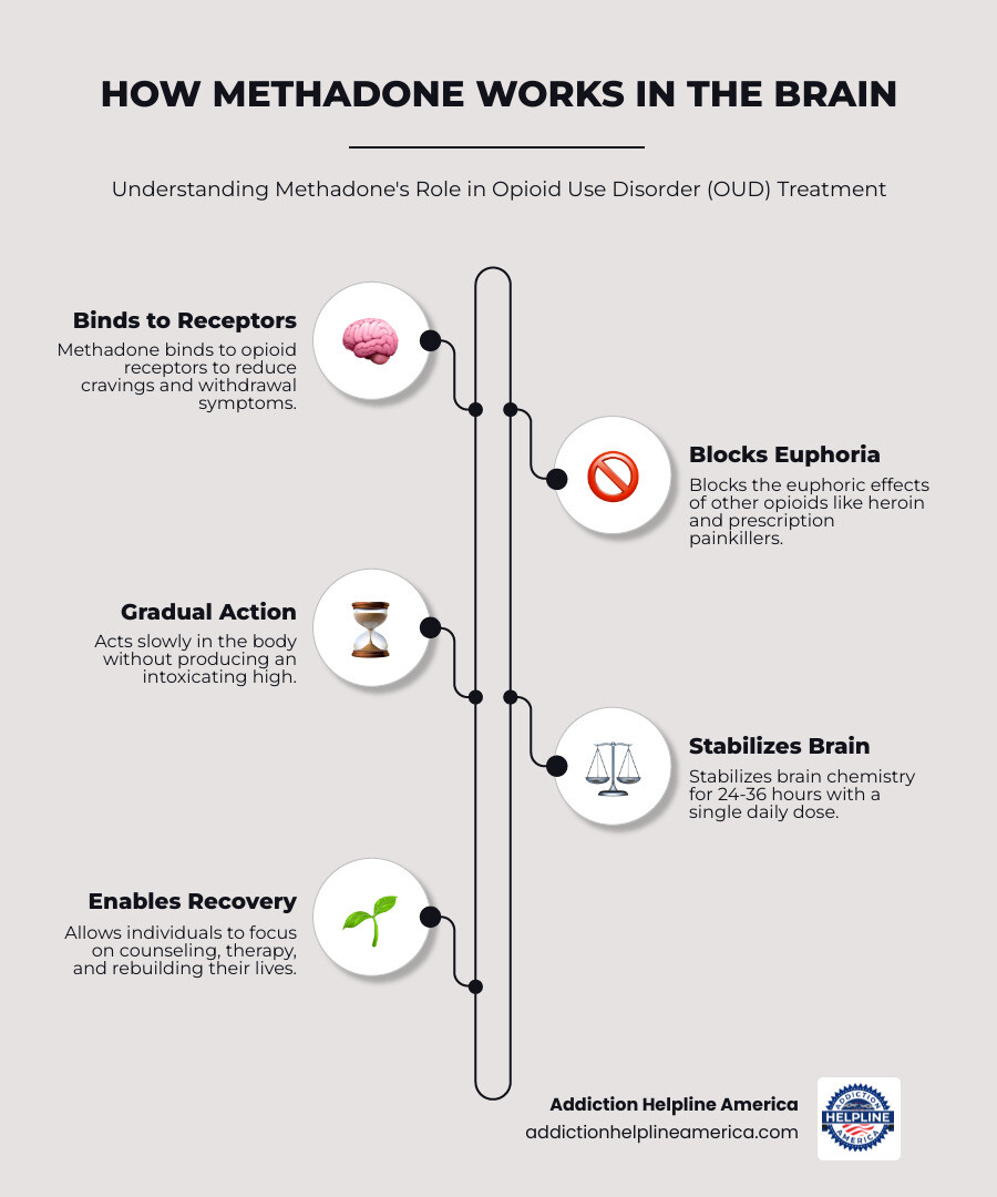 Infographic showing how methadone works in the brain: Methadone binds to opioid receptors to reduce cravings and withdrawal symptoms, blocks euphoric effects of other opioids like heroin and prescription painkillers, acts slowly without producing a high, stabilizes brain chemistry for 24-36 hours with a single dose, and allows individuals to focus on counseling and rebuilding their lives - methadone programs near me infographic infographic-line-5-steps-elegant_beige Infographic showing how methadone works in the brain: Methadone binds to opioid receptors to reduce cravings and withdrawal symptoms, blocks euphoric effects of other opioids like heroin and prescription painkillers, acts slowly without producing a high, stabilizes brain chemistry for 24-36 hours with a single dose, and allows individuals to focus on counseling and rebuilding their lives - methadone programs near me infographic infographic-line-5-steps-elegant_beige