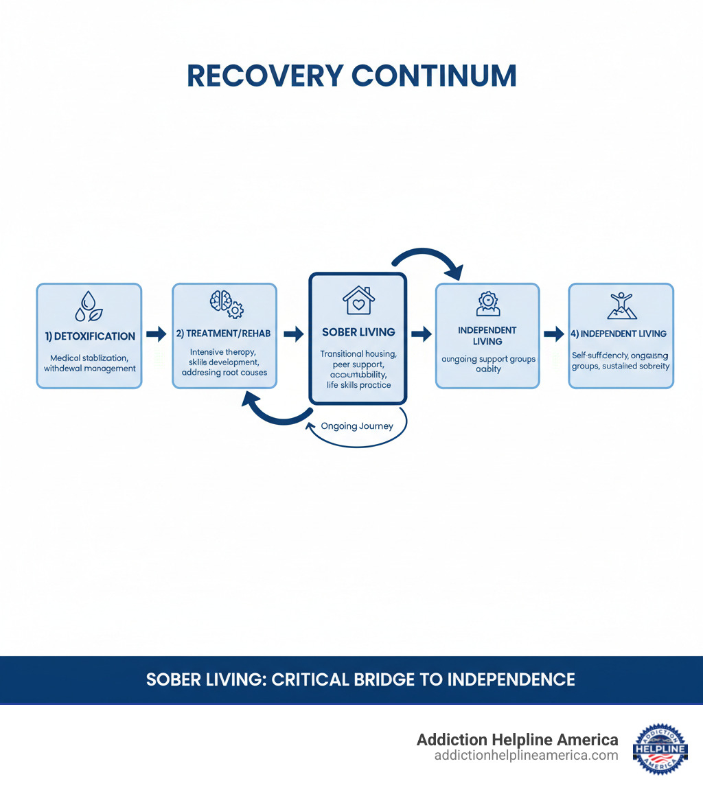 Infographic showing the recovery continuum with four connected stages: 1) Detoxification (Medical stabilization, withdrawal management), 2) Treatment/Rehab (Intensive therapy, skills development, addressing root causes), 3) Sober Living (Transitional housing, peer support, accountability, life skills practice), and 4) Independent Living (Self-sufficiency, ongoing support groups, sustained sobriety). Arrows connect each stage, emphasizing sober living as the critical bridge between formal treatment and independence. - sober living pasadena infographic Infographic showing the recovery continuum with four connected stages: 1) Detoxification (Medical stabilization, withdrawal management), 2) Treatment/Rehab (Intensive therapy, skills development, addressing root causes), 3) Sober Living (Transitional housing, peer support, accountability, life skills practice), and 4) Independent Living (Self-sufficiency, ongoing support groups, sustained sobriety). Arrows connect each stage, emphasizing sober living as the critical bridge between formal treatment and independence. - sober living pasadena infographic