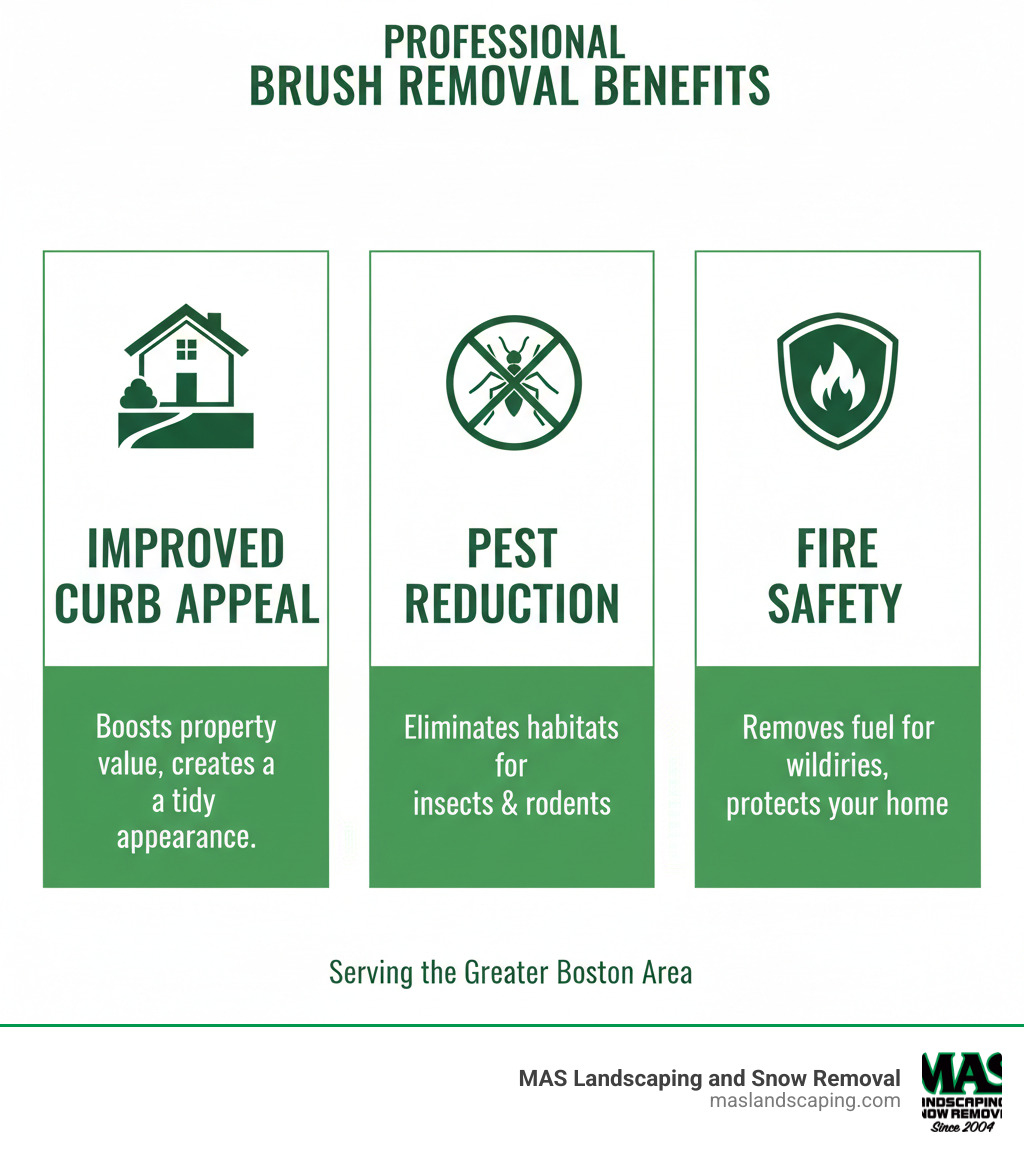 infographic explaining the key benefits of professional brush removal, such as improved curb appeal, pest reduction, and fire safety - brush removal in my area infographic 