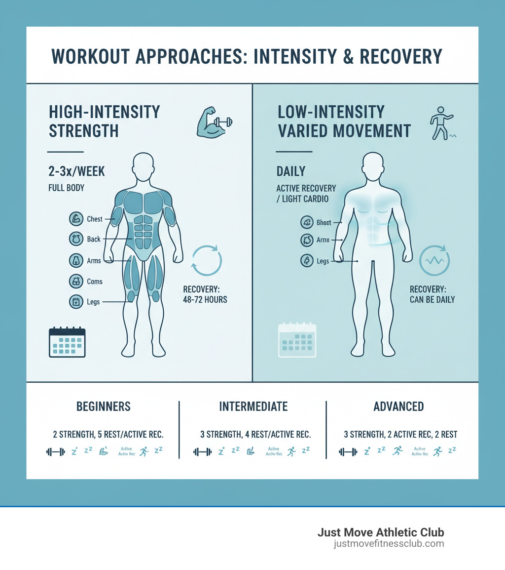 Infographic comparing daily workout approaches: High-intensity full-body strength training (2-3x per week with rest days) versus low-intensity varied movement (can be done daily with active recovery), showing muscle groups targeted, recovery timeline of 48-72 hours, and recommended weekly structure for beginners, intermediate, and advanced exercisers - is it ok to do full body workouts everyday infographic 