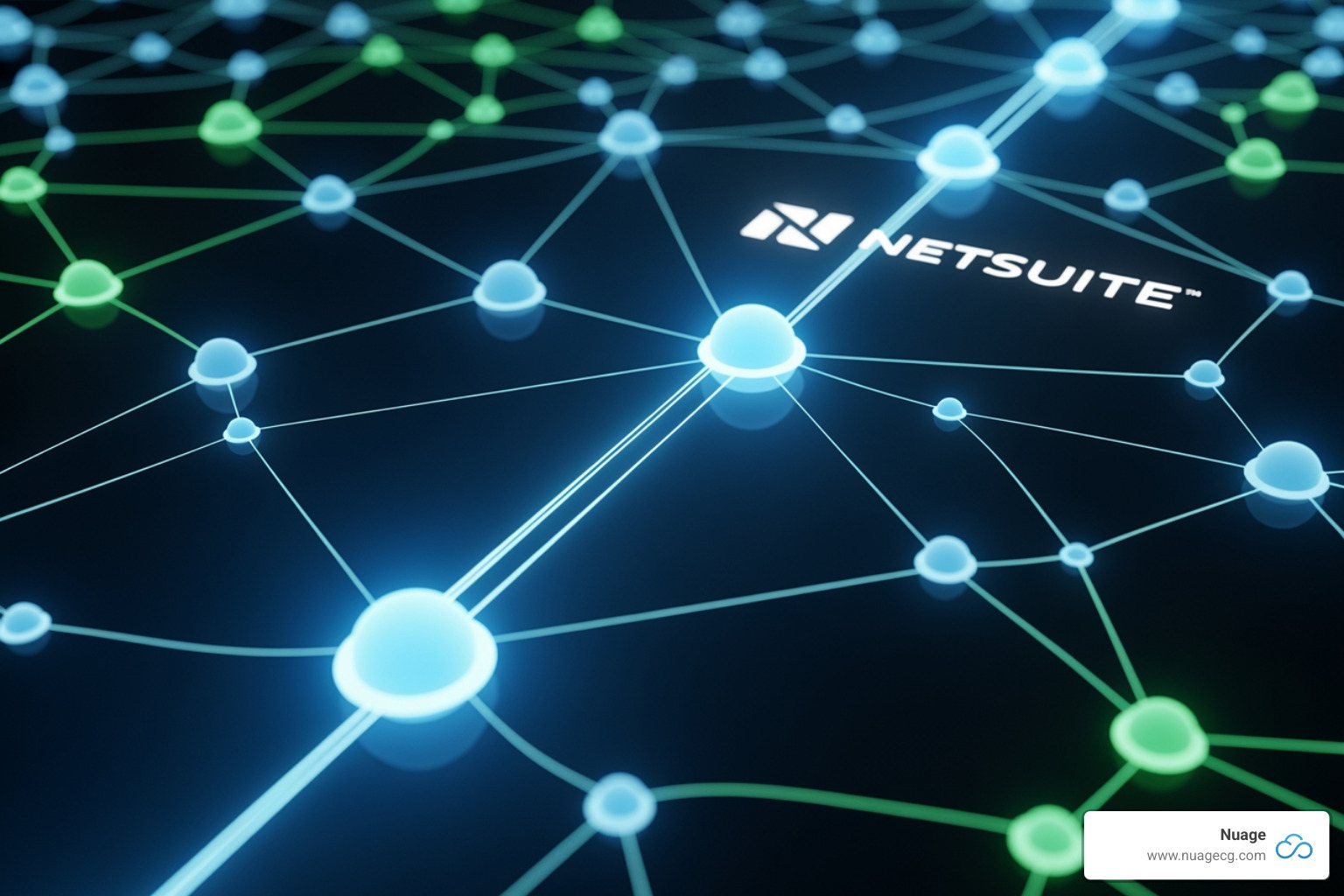 NetSuite dashboard - NetSuite data quality NetSuite dashboard - NetSuite data quality