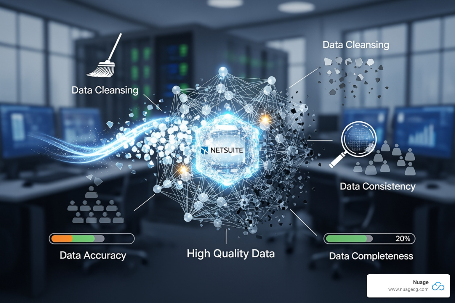 SuiteAnalytics Workbook dashboard highlighting data anomalies - NetSuite data quality SuiteAnalytics Workbook dashboard highlighting data anomalies - NetSuite data quality