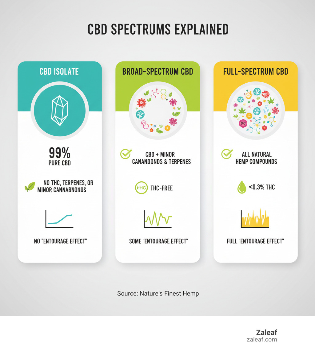 Infographic visually comparing Full-Spectrum, Broad-Spectrum, and CBD Isolate - certified CBD vape infographic Infographic visually comparing Full-Spectrum, Broad-Spectrum, and CBD Isolate - certified CBD vape infographic