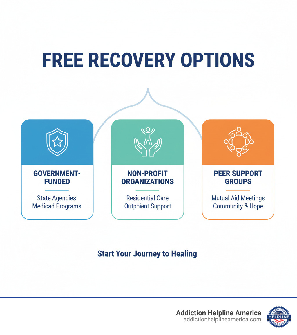 Infographic showing three main types of free recovery options: Government-funded programs with state agencies and Medicaid, Non-profit organizations offering residential and outpatient care, and Peer support groups providing mutual aid meetings - free addiction recovery program infographic Infographic showing three main types of free recovery options: Government-funded programs with state agencies and Medicaid, Non-profit organizations offering residential and outpatient care, and Peer support groups providing mutual aid meetings - free addiction recovery program infographic