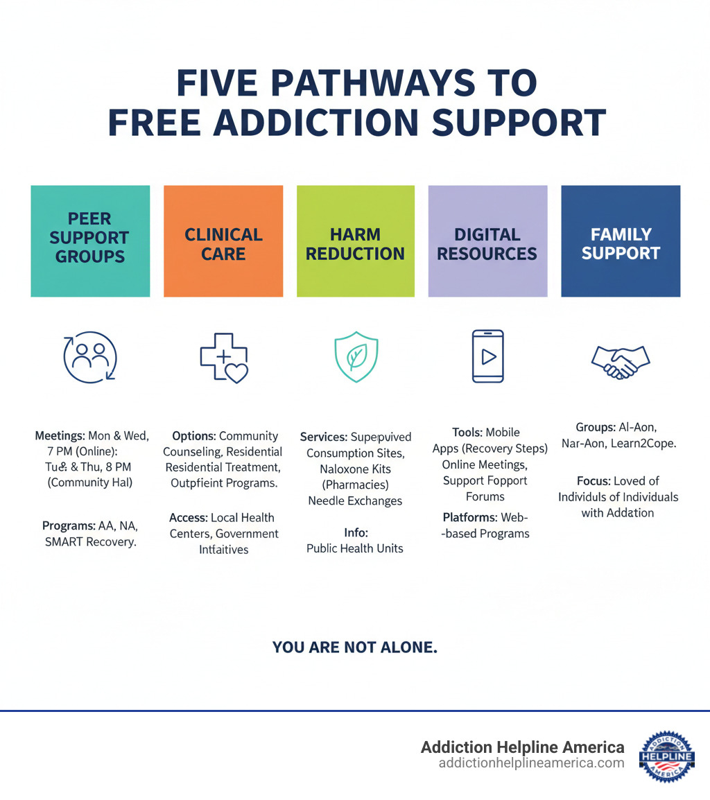infographic showing five pathways to free addiction support including peer support groups with meeting times and locations, clinical care options like community counseling and residential treatment, harm reduction services such as supervised consumption sites and naloxone programs, digital resources including mobile apps and online meetings, and family support through dedicated groups for loved ones - Free addiction support infographic infographic showing five pathways to free addiction support including peer support groups with meeting times and locations, clinical care options like community counseling and residential treatment, harm reduction services such as supervised consumption sites and naloxone programs, digital resources including mobile apps and online meetings, and family support through dedicated groups for loved ones - Free addiction support infographic