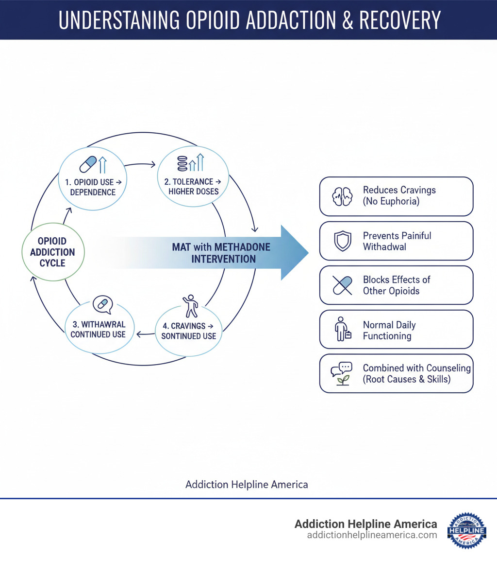 Infographic showing the cycle of opioid addiction: 1) Opioid use leads to dependence 2) Tolerance builds requiring higher doses 3) Withdrawal symptoms emerge when stopping 4) Cravings drive continued use. MAT with Methadone intervenes by: reducing cravings without euphoria, preventing painful withdrawal symptoms, blocking effects of other opioids, allowing normal daily functioning, combined with counseling to address root causes and build recovery skills - methadone clinic infographic Infographic showing the cycle of opioid addiction: 1) Opioid use leads to dependence 2) Tolerance builds requiring higher doses 3) Withdrawal symptoms emerge when stopping 4) Cravings drive continued use. MAT with Methadone intervenes by: reducing cravings without euphoria, preventing painful withdrawal symptoms, blocking effects of other opioids, allowing normal daily functioning, combined with counseling to address root causes and build recovery skills - methadone clinic infographic