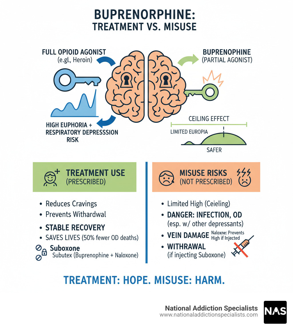 infographic explaining how buprenorphine works as a partial opioid agonist with ceiling effect, comparing treatment use versus misuse risks - subutex vs suboxone abuse infographic 