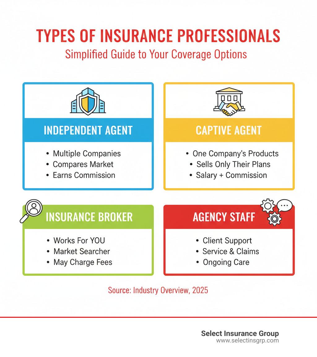 Infographic showing the main types of insurance professionals: Independent Agent (represents multiple insurance companies, shops the market for you, earns commission from insurers), Captive Agent (works for one insurance company, sells only that company's products, earns salary plus commission), Insurance Broker (works for you the client, searches market on your behalf, may charge fees), and Agency Staff (supports clients with service and claims, works within an agency structure, provides ongoing customer care) - insurance agent infographic 